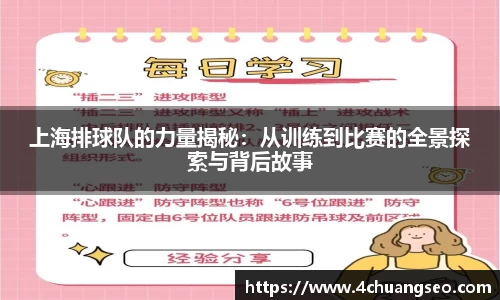 上海排球队的力量揭秘：从训练到比赛的全景探索与背后故事